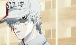 日本工番全漫画大全,经典作品与新兴力作尽收眼底